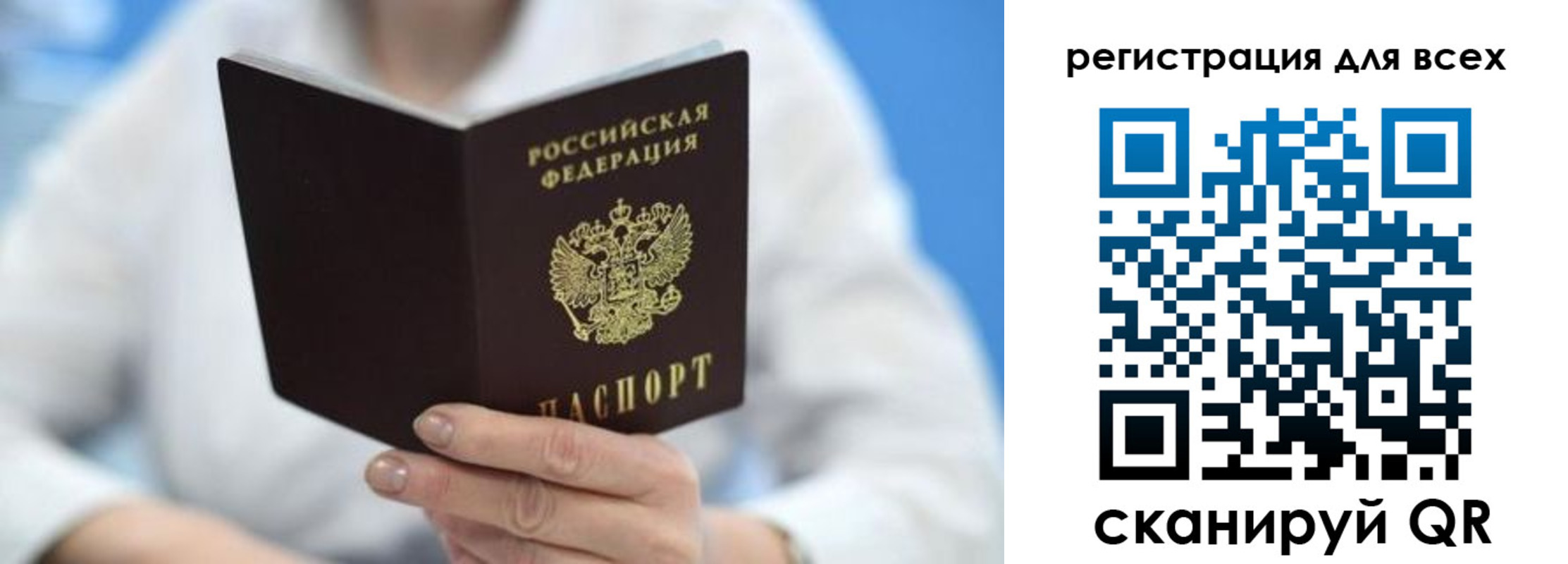 прописка гарантия в Курске